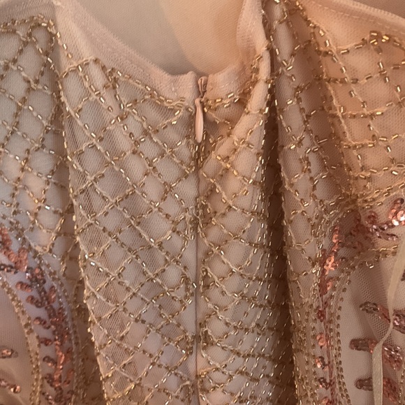 Large champagne dress. New with tags. - Picture 2 of 2